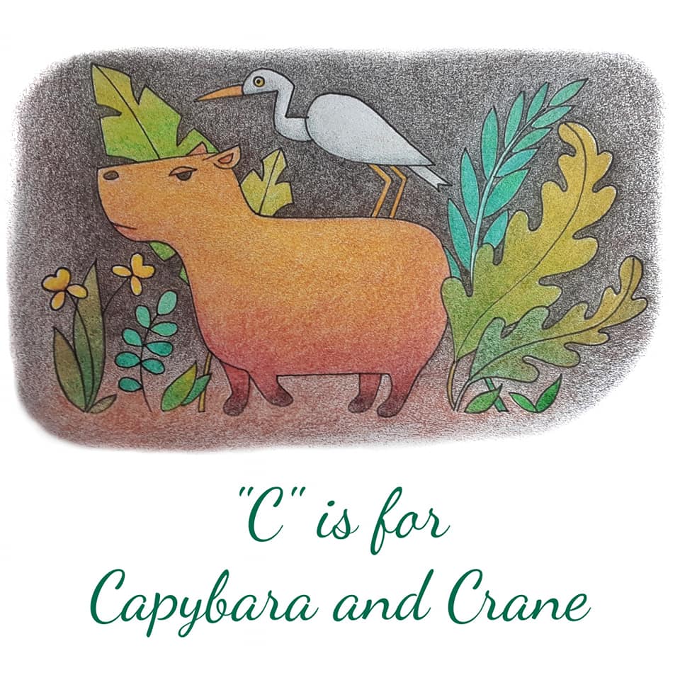 How To Draw A Capybara 