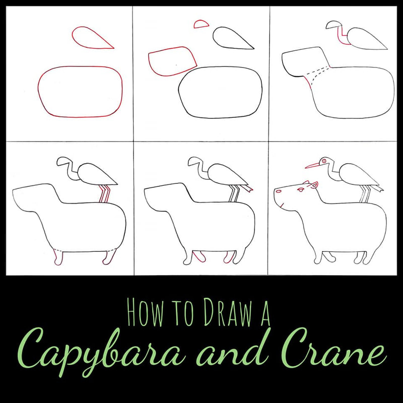 How to Draw a Sandhill Crane (Birds) Step by Step | DrawingTutorials101.com